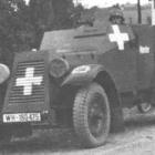Fotka nr 1 z 2