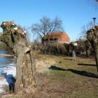 zdjęcie nr 8