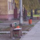 zdjęcie nr 8