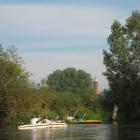 zdjęcie nr 7
