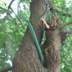 Fotka nr 2 z 4