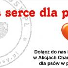 Fotka nr 0 z 2