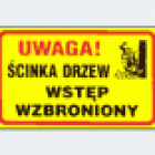 Fotka nr 2 z 3