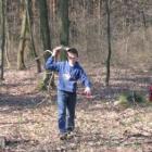 zdjęcie nr 12