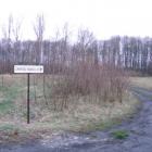 zdjęcie nr 10