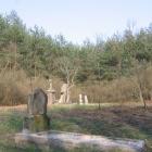 zdjęcie nr 7
