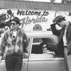 zdjęcie nr 3