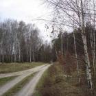 Fotka nr 1 z 2
