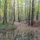 zdjęcie nr 35