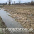zdjęcie nr 34