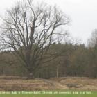 zdjęcie nr 26