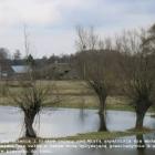 zdjęcie nr 33