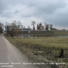 Fotka nr 4 z 45