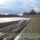 zdjęcie nr 36