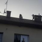 zdjęcie nr 2