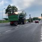 Fotka nr 5 z 7