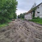 Fotka nr 5 z 7