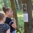 zdjęcie nr 18