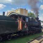 zdjęcie nr 15