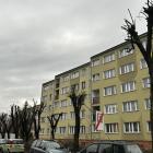 Fotka nr 2 z 5