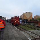 zdjęcie nr 7