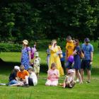 zdjęcie nr 17
