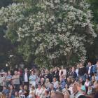 zdjęcie nr 19