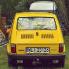 zdjęcie nr 21