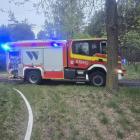 Fotka nr 4 z 10
