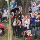 zdjęcie nr 17