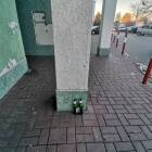 zdjęcie nr 23