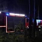 Fotka nr 2 z 4