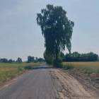 zdjęcie nr 16