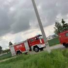 Fotka nr 5 z 6