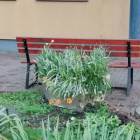 zdjęcie nr 18