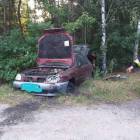 Fotka nr 2 z 4