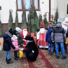 zdjęcie nr 12