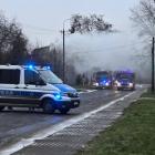 Fotka nr 1 z 8