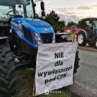 Fotka nr 1 z 11