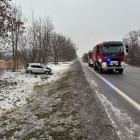Fotka nr 2 z 3