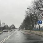 zdjęcie nr 8