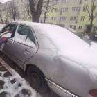 zdjęcie nr 12