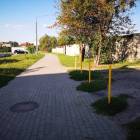 zdjęcie nr 10
