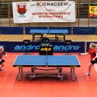 Fotka nr 1 z 17