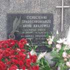 zdjęcie nr 27