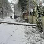 zdjęcie nr 4