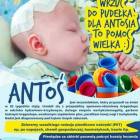 Fotka nr 0 z 5