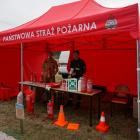 zdjęcie nr 92