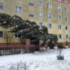 zdjęcie nr 12