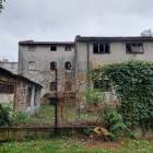 Fotka nr 4 z 16